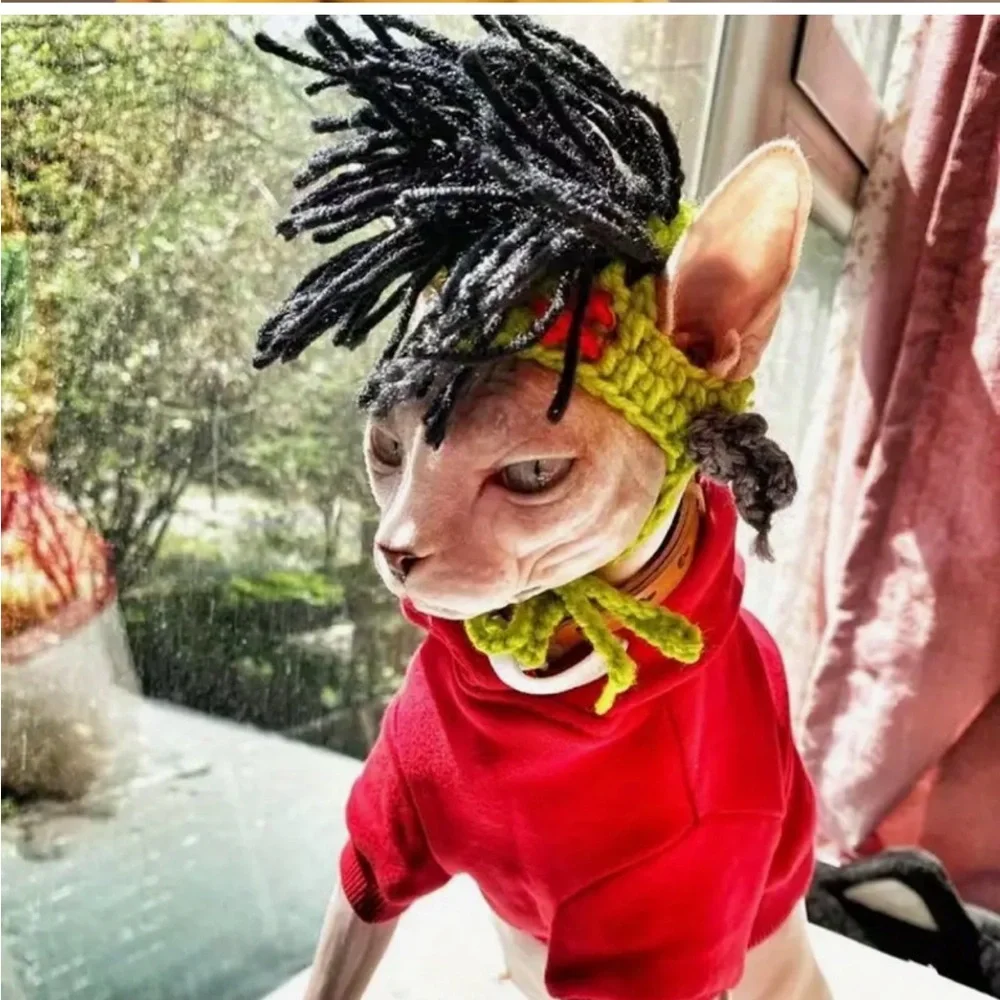 Costume Reggae Punk Rock Crochet Wig Hat for Small Pet Dog Cat (M)